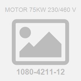 Motor 75Kw 230/460 V